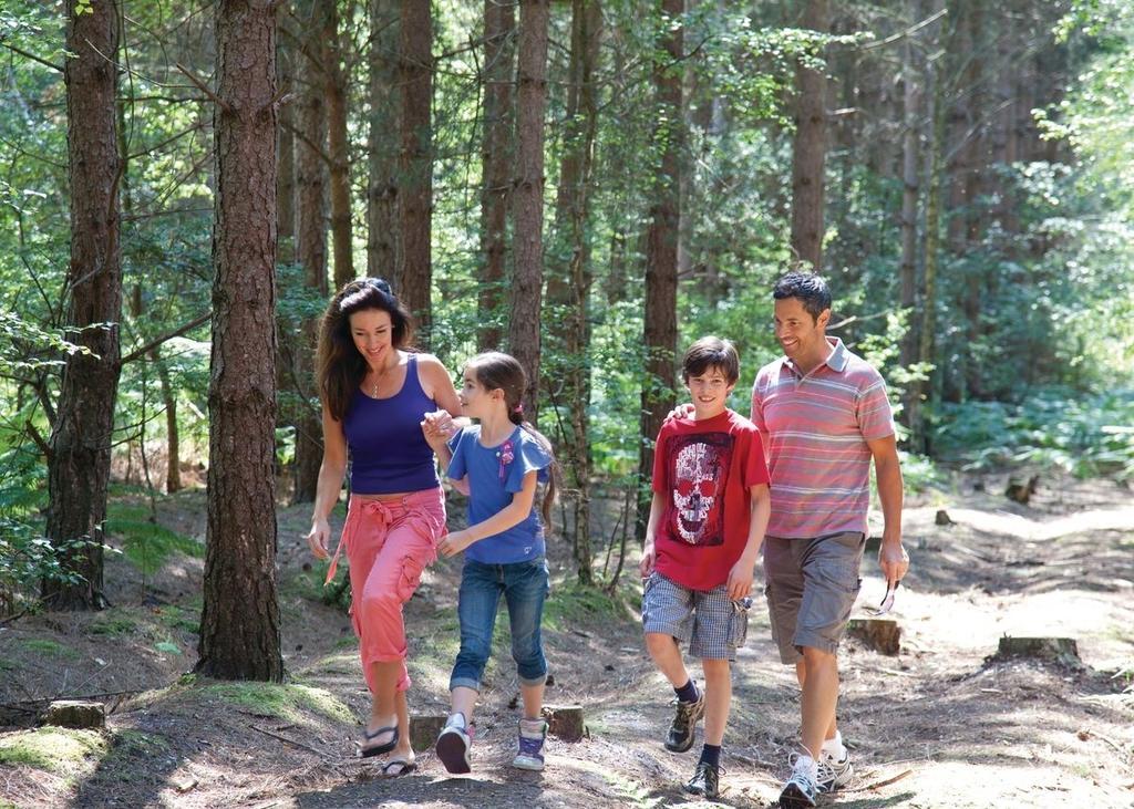 מלון פרנדאון Oakdene Forest מראה חיצוני תמונה